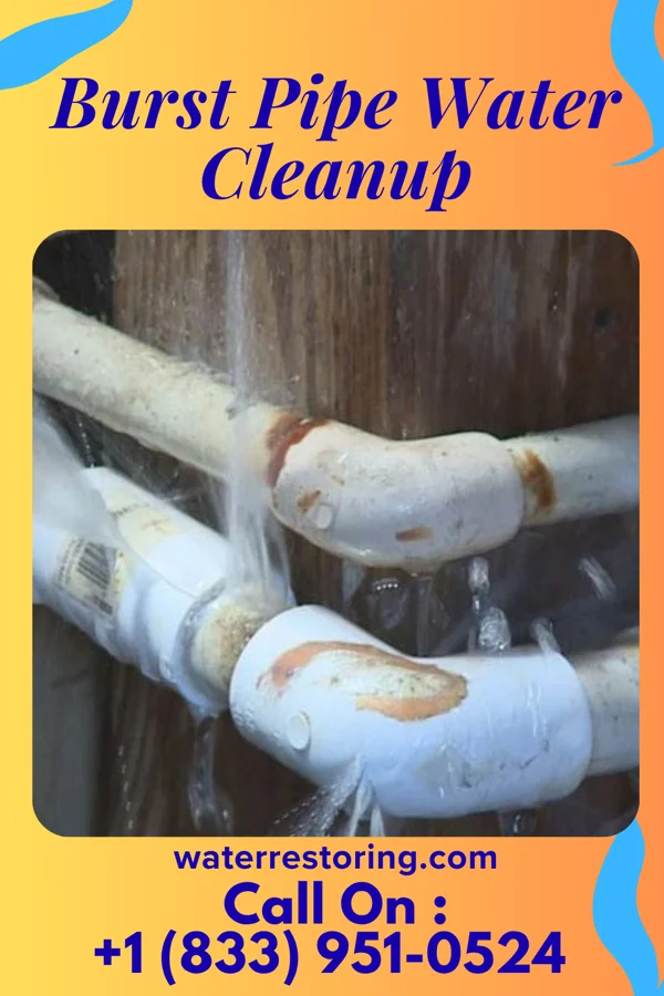 Burst Pipe Water Cleanup in Northwest Harborcreek, PA