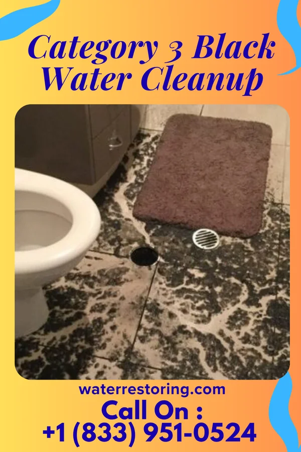 Category 3 Black Water Cleanup in Northwest Harborcreek, PA