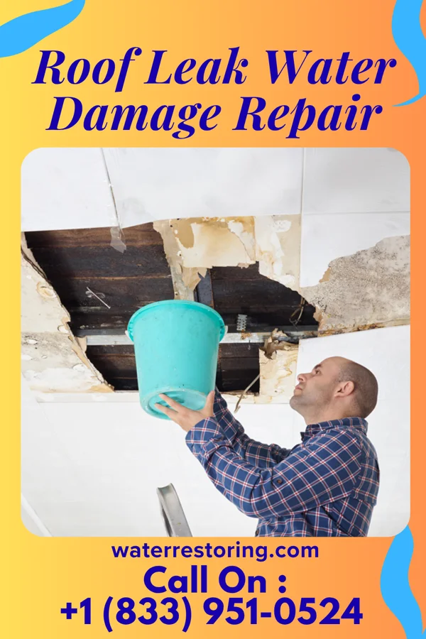 Roof Leak Water Damage Repair in Northwest Harborcreek, PA