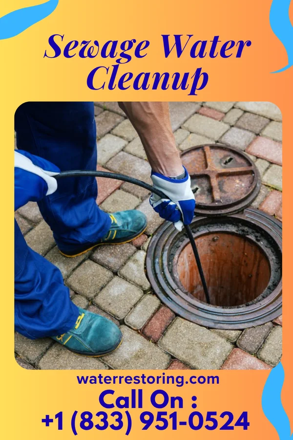 Sewage Water Cleanup in Northwest Harborcreek, PA